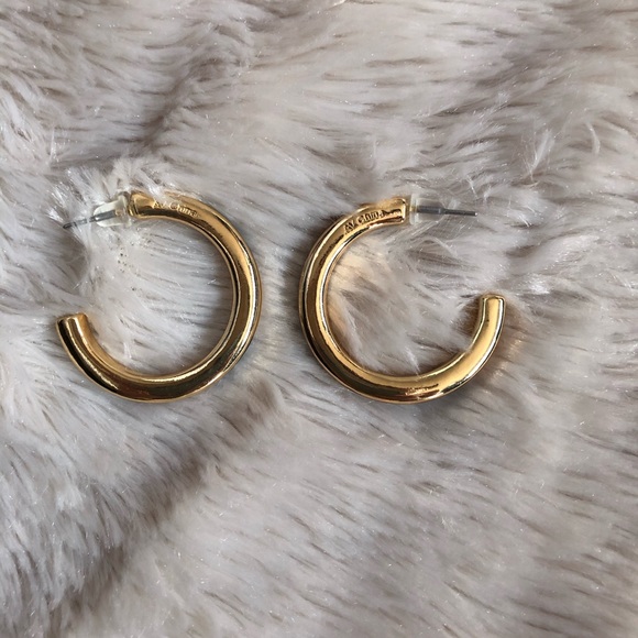 Tortoise shell with gold accent hoop earrings - Picture 3 of 3